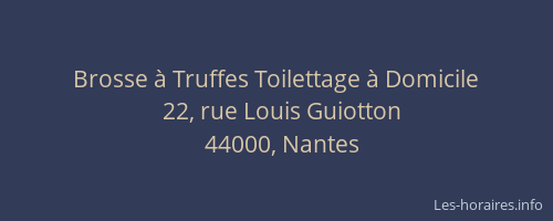 Brosse à Truffes Toilettage à Domicile
