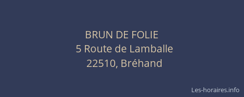 BRUN DE FOLIE
