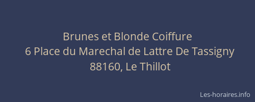 Brunes et Blonde Coiffure