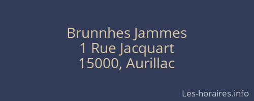 Brunnhes Jammes