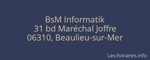 BsM Informatik