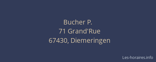 Bucher P.