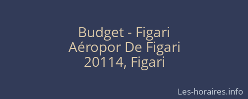 Budget - Figari