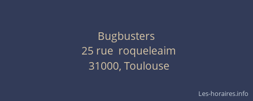 Bugbusters