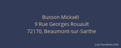 Busson Micka&euml;l