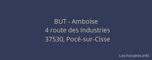 BUT - Amboise