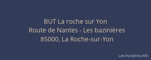 BUT La roche sur Yon