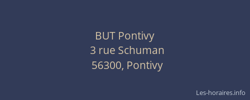 BUT Pontivy