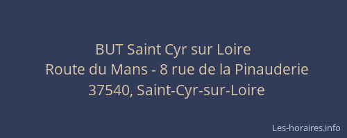 BUT Saint Cyr sur Loire