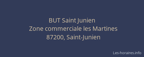 BUT Saint Junien