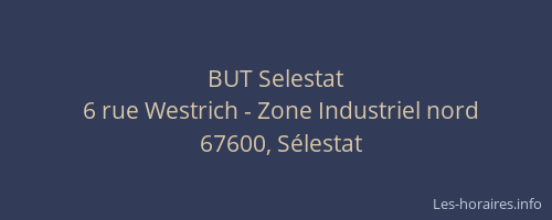 BUT Selestat