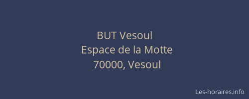 BUT Vesoul