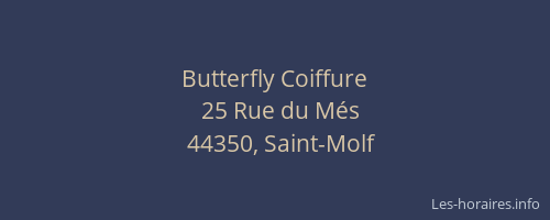 Butterfly Coiffure