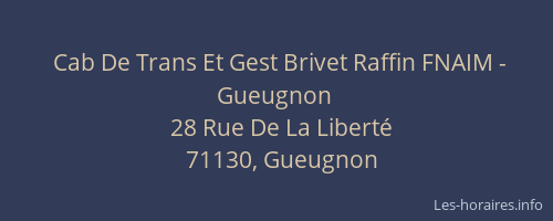 Cab De Trans Et Gest Brivet Raffin FNAIM - Gueugnon