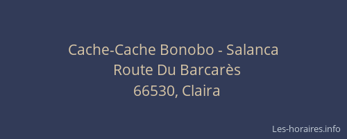 Cache-Cache Bonobo - Salanca