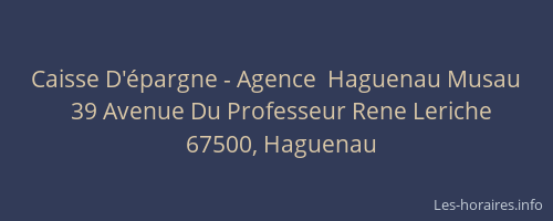Caisse D'épargne - Agence  Haguenau Musau