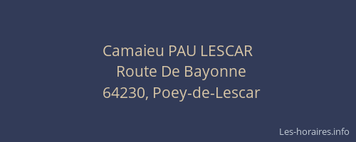 Camaieu PAU LESCAR