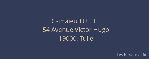 Camaieu TULLE
