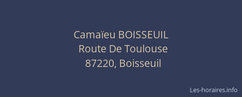 Camaïeu BOISSEUIL