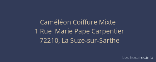 Caméléon Coiffure Mixte