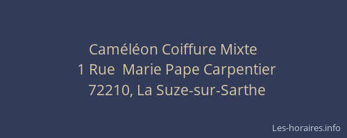 Cam&eacute;l&eacute;on Coiffure Mixte