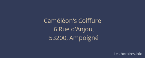 Cam&eacute;l&eacute;on's Coiffure