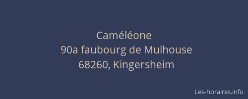 Cam&eacute;l&eacute;one