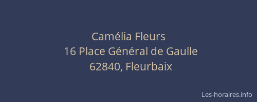 Cam&eacute;lia Fleurs