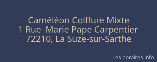 Caméléon Coiffure Mixte