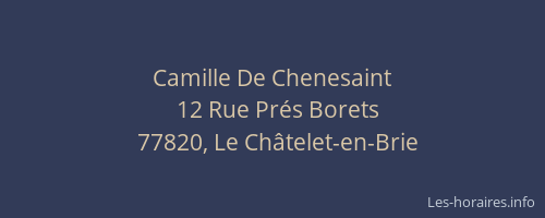 Camille De Chenesaint