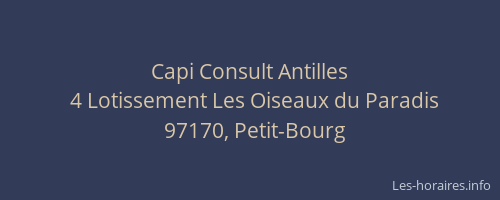 Capi Consult Antilles