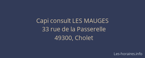 Capi consult LES MAUGES