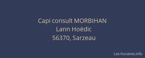 Capi consult MORBIHAN
