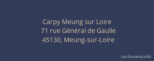 Carpy Meung sur Loire