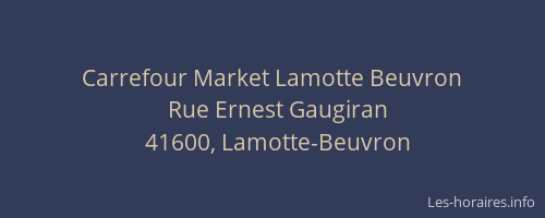 Carrefour Market Lamotte Beuvron