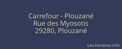 Carrefour - Plouzané