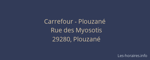 Carrefour - Plouzané