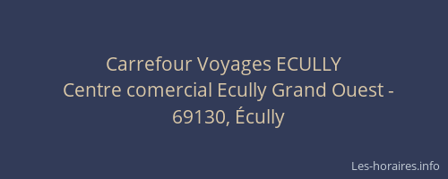 Carrefour Voyages ECULLY