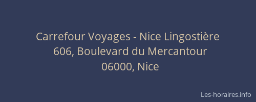 Carrefour Voyages - Nice Lingostière