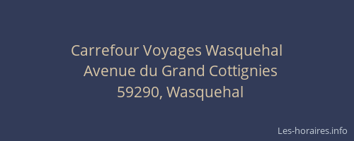 Carrefour Voyages Wasquehal