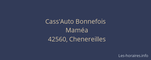 Cass'Auto Bonnefois