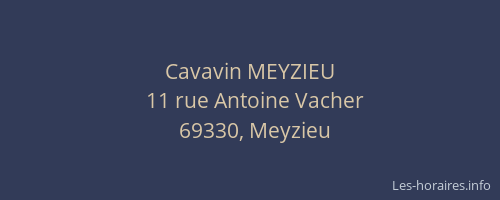 Cavavin MEYZIEU