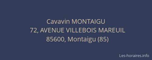 Cavavin MONTAIGU