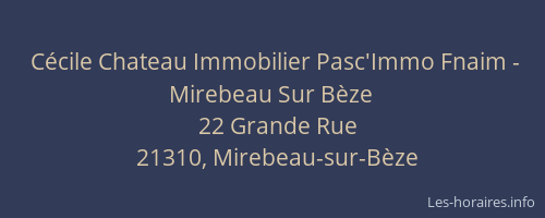Cécile Chateau Immobilier Pasc'Immo Fnaim - Mirebeau Sur Bèze
