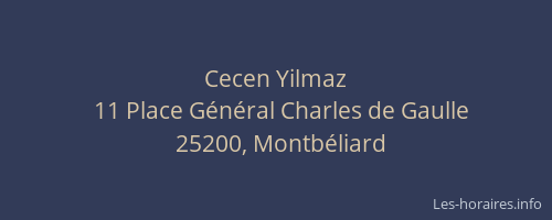 Cecen Yilmaz