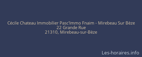 Cécile Chateau Immobilier Pasc'Immo Fnaim - Mirebeau Sur Bèze
