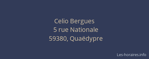 Celio Bergues