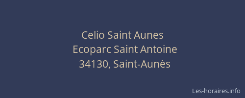Celio Saint Aunes