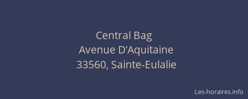 Central Bag