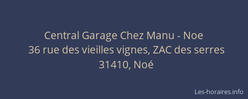 Central Garage Chez Manu - Noe